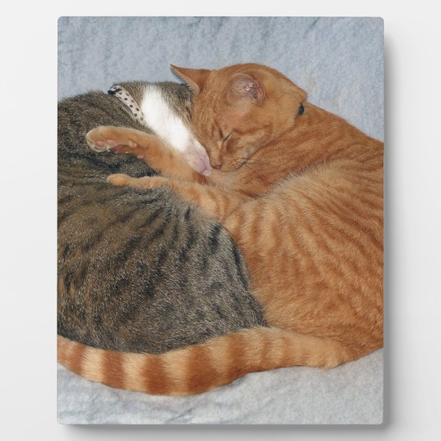 Ball of Cuteness Plaque (Front)