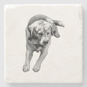 Ball & Paws – Bold Accent Stone Coaster