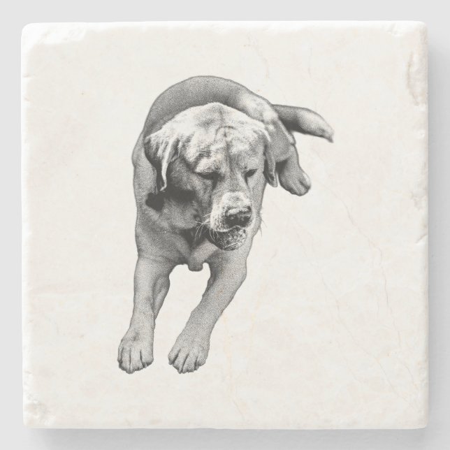 Ball & Paws – Bold Accent Stone Coaster (Front)