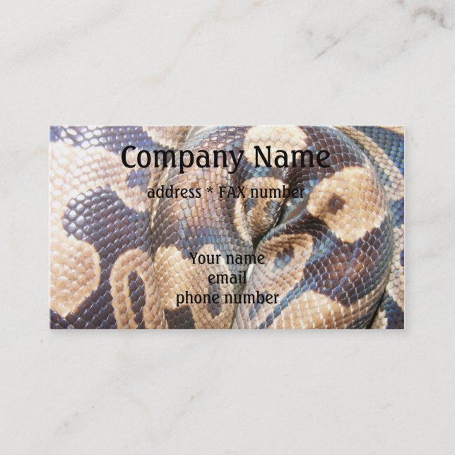 Ball Python Business Card (Front)