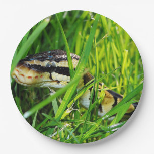 ball python in grass.png paper plate
