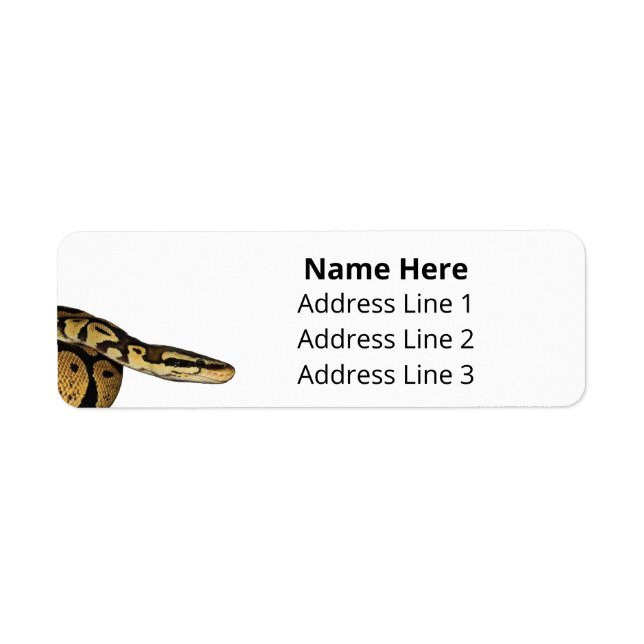 Ball Python Pet Snake Return Address Return Address Label (Front)