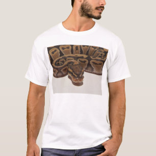 Ball Python Shirt