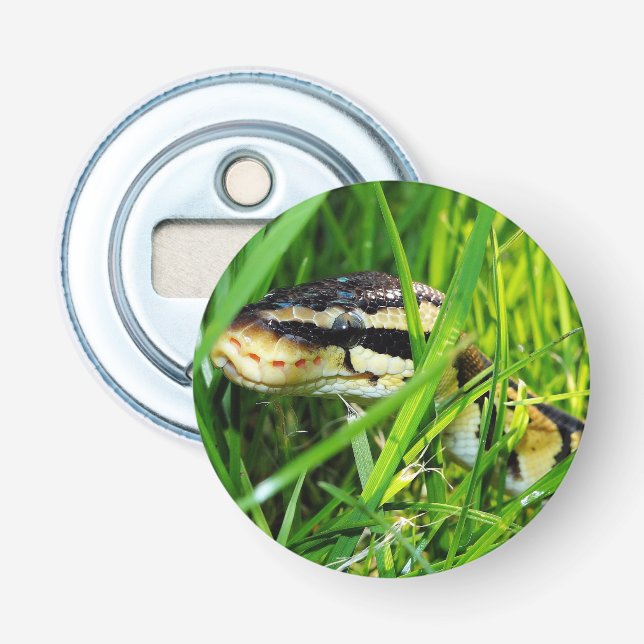 Ball Python Snake in the Grass Bottle Opener (Front)