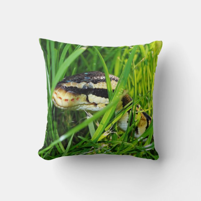 Ball Python Snake in the Grass Cushion (Front)