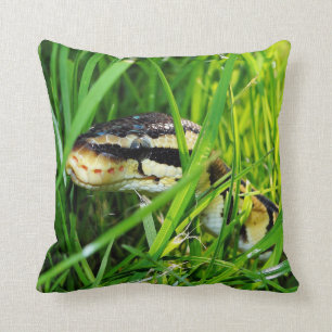Ball Python Snake in the Grass Cushion