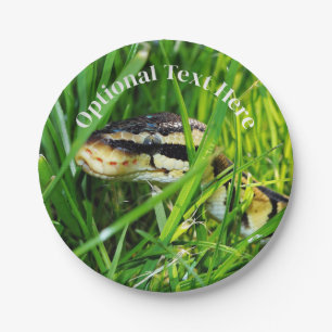 Ball Python Snake in the Grass Paper Plate