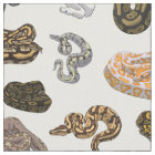Ball Python Snake Morph Pattern