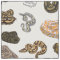 Ball Python Snake Morph Pattern