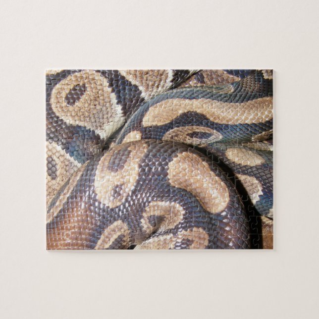 Ball Pythons Jigsaw Puzzle (Horizontal)