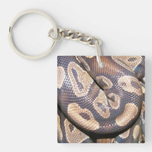 Ball Pythons Key Ring