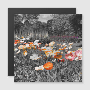 Ballarat Botanic Gardens Floral Display Magnet