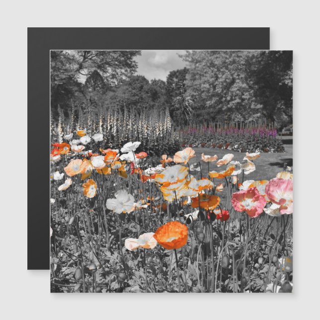 Ballarat Botanic Gardens Floral Display Magnet (Front/Back)
