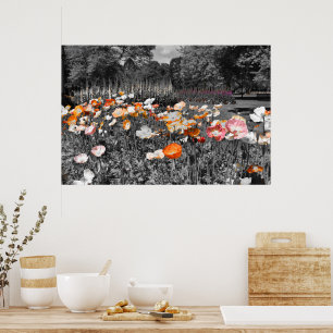 Ballarat Botanic Gardens Floral Display Poster