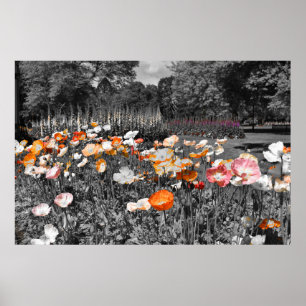 Ballarat Botanic Gardens Floral Display Poster