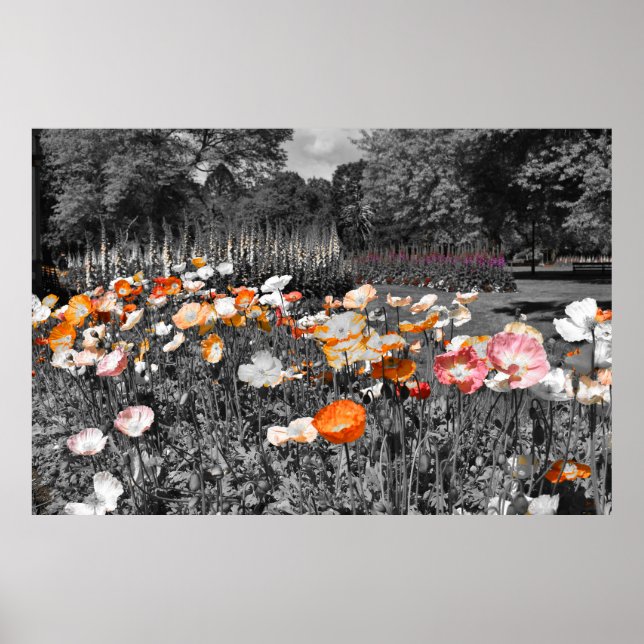 Ballarat Botanic Gardens Floral Display Poster (Front)