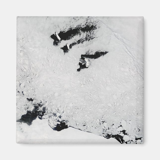 Balleny Islands, near Antarctica Magnet (Front)