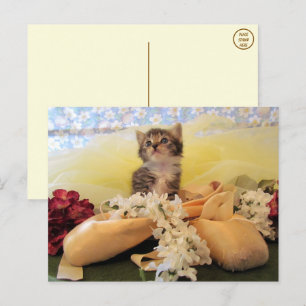 Ballerina Kate Cat / Kitten Postcard