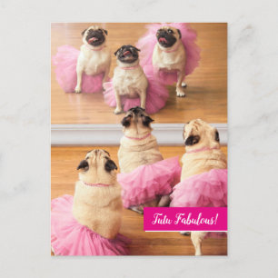 Ballerina Pugs In Tutus Invitation Postcard