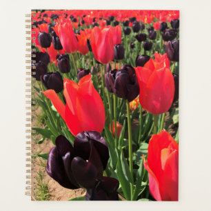 Ballerina & Queen of the Night Tulips Planner