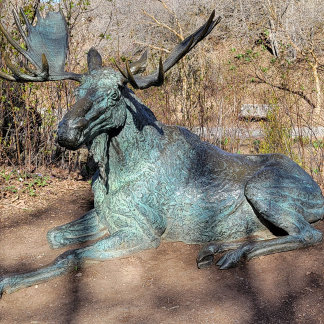 Ballerina & Robot T-Shirt