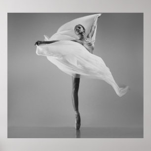 Ballerina White: Graceful Dance Illustration. Poster