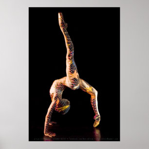 Ballet Dancer-4567XLG Poster