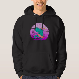 Ballet Dancer Dino Ballerina Rex Retro Sunset Dino Hoodie