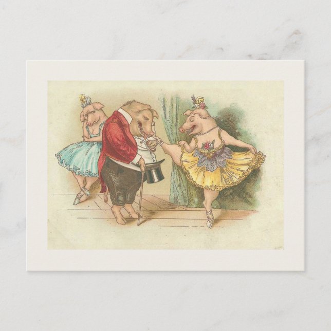 Ballet Pig Postcard (Front)