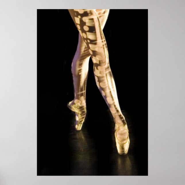 Ballet Poster-4204 Poster (Front)