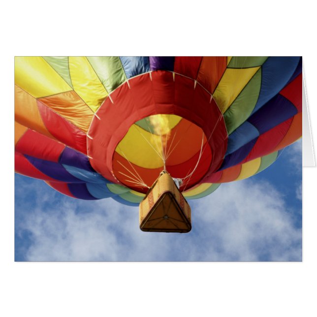 Balloon 6139 (Front Horizontal)