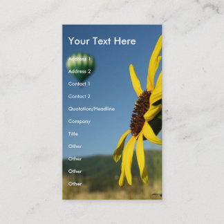 Balloon and Flower Business Card