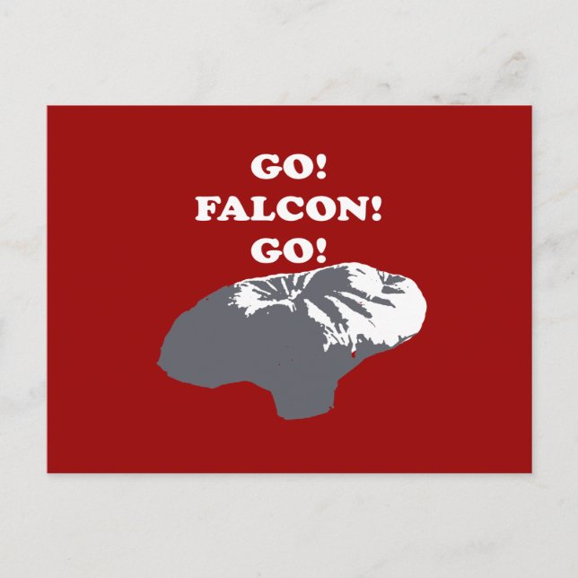 Balloon Boy - Go Falcon Go Postcard (Front)