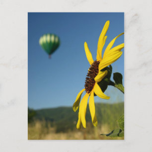 Balloon Festival Postcard