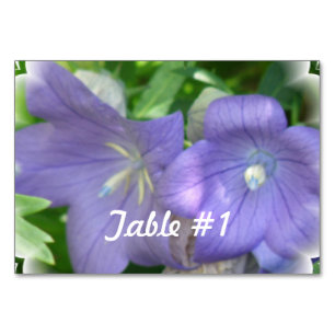 Balloon Flower Blossom Table Number