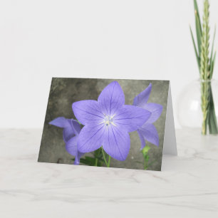 Balloon Flower Card