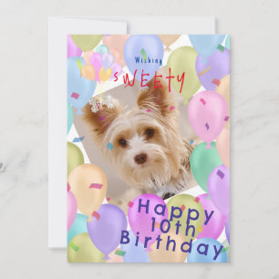 Balloon Pet Pastel Photo Holiday Card