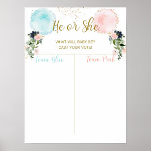 Balloons Cast your vote, baby girl or boy Poster