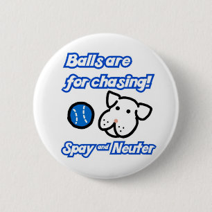 Balls are for chasing cute spay neuter dog pin