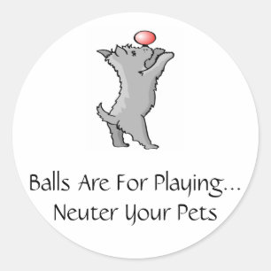 Balls Are For Playing Classic Round Sticker