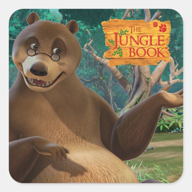 Baloo 4 square sticker (Front)