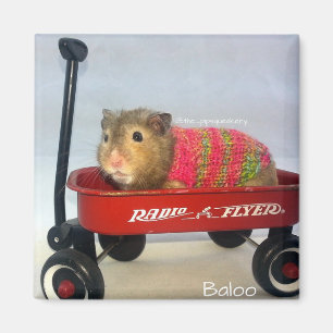 Baloo in his Red Wagon Magnet