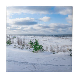Baltic sea coast covered in snow in winter ceramic tile