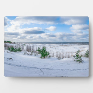 Baltic sea coast covered in snow in winter plaque