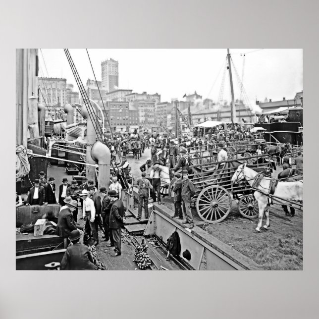 Baltimore Banana Boats Poster (Front)