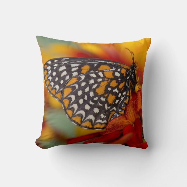 Baltimore-Chequered Butterfly Cushion (Front)
