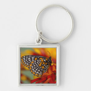 Baltimore-Chequered Butterfly Key Ring