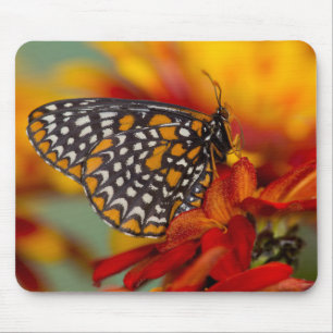 Baltimore-Chequered Butterfly Mouse Pad