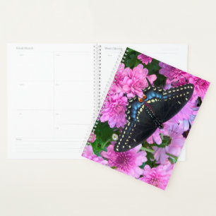 Baltimore Chequered Butterfly Planner
