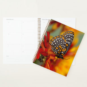 Baltimore-Chequered Butterfly Planner